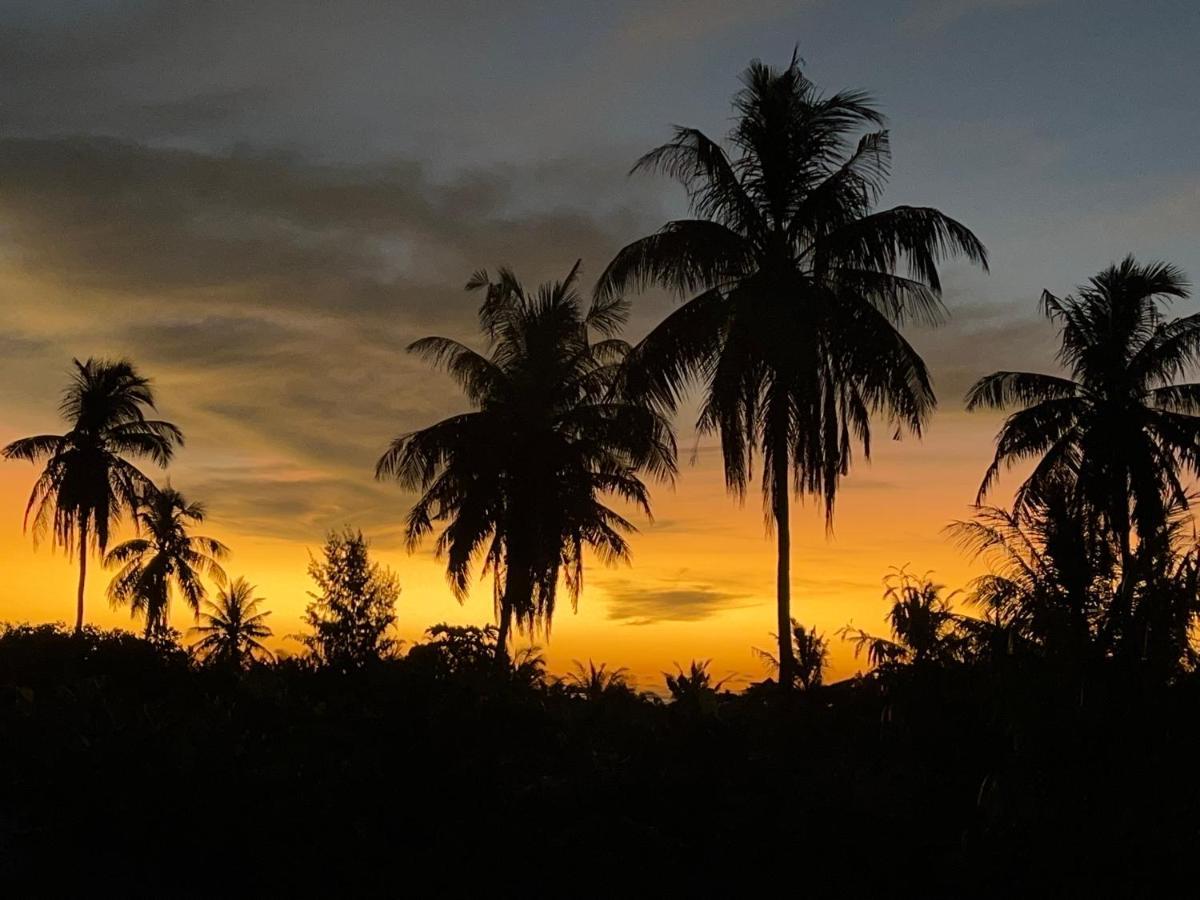Shamar Guesthouse & Dive Maamigili Island ภายนอก รูปภาพ