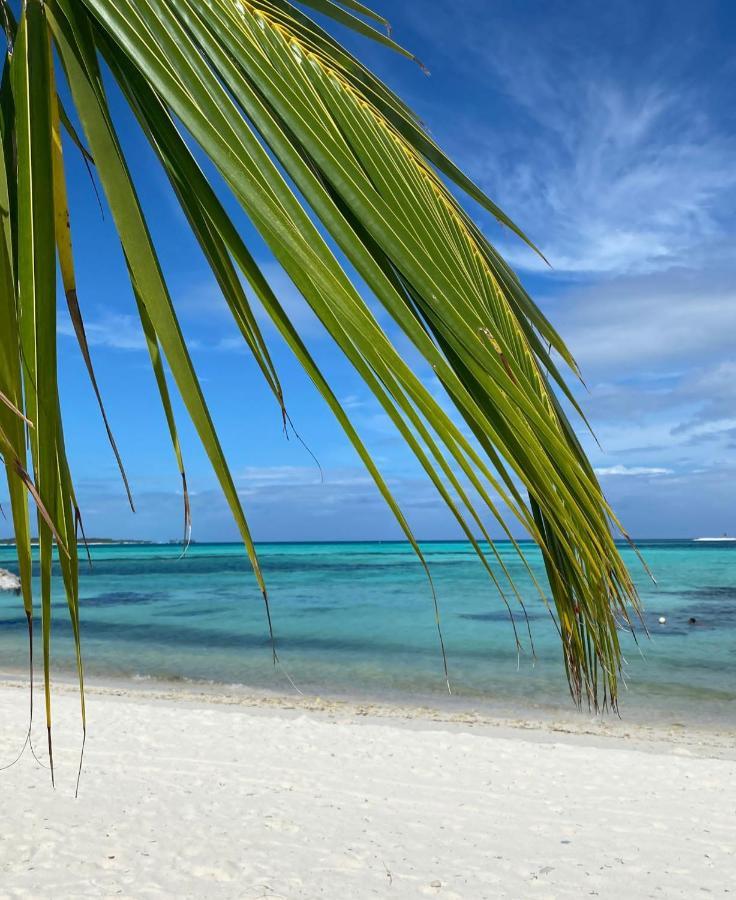 Shamar Guesthouse & Dive Maamigili Island ภายนอก รูปภาพ