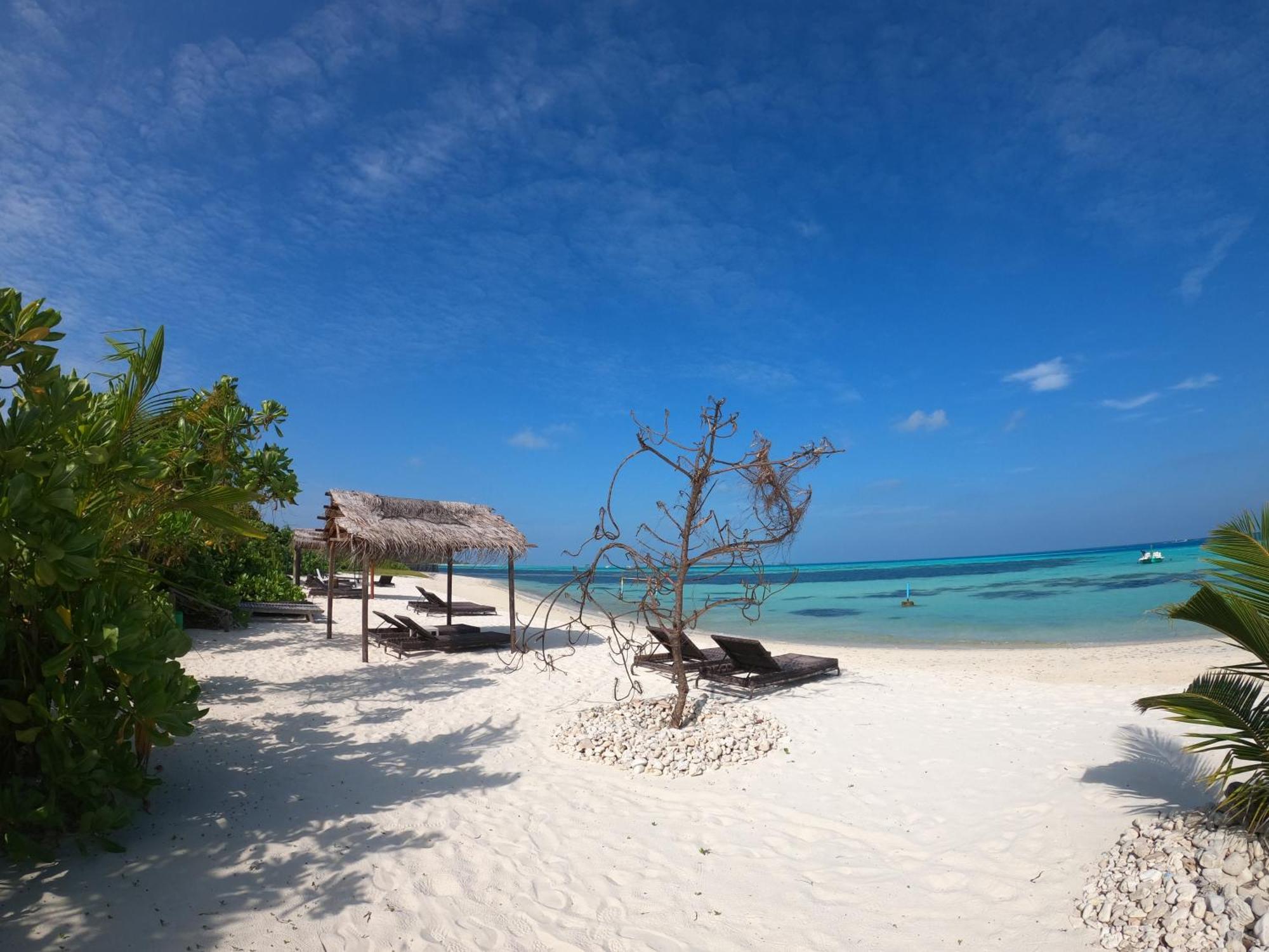Shamar Guesthouse & Dive Maamigili Island ภายนอก รูปภาพ