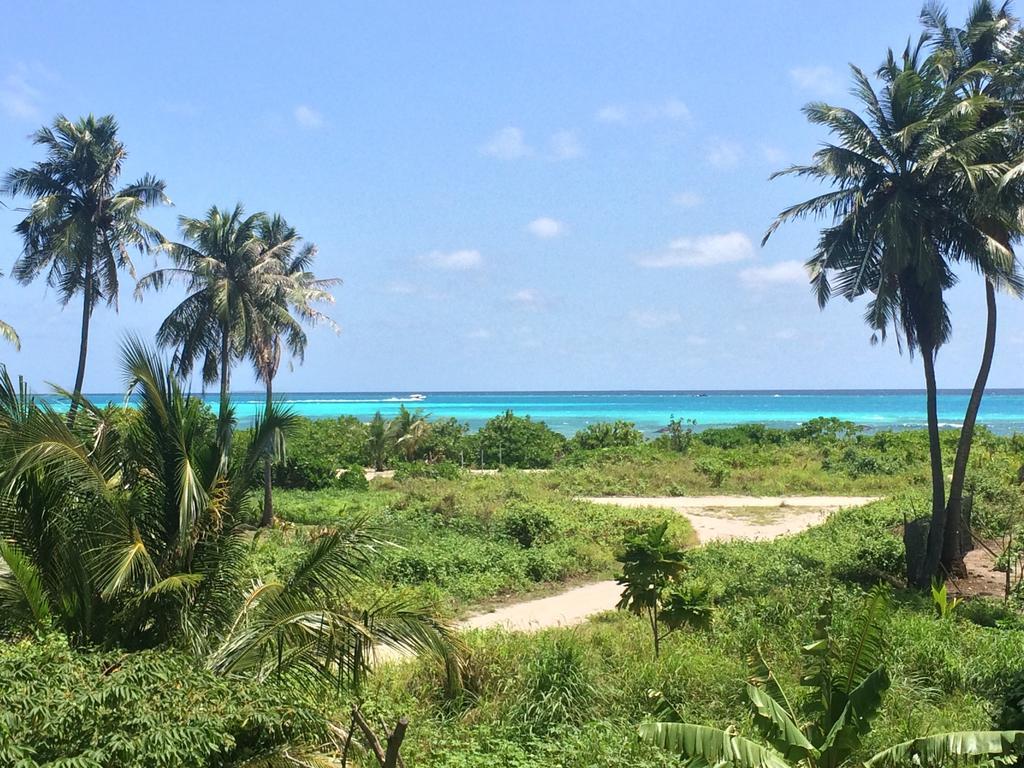Shamar Guesthouse & Dive Maamigili Island ภายนอก รูปภาพ