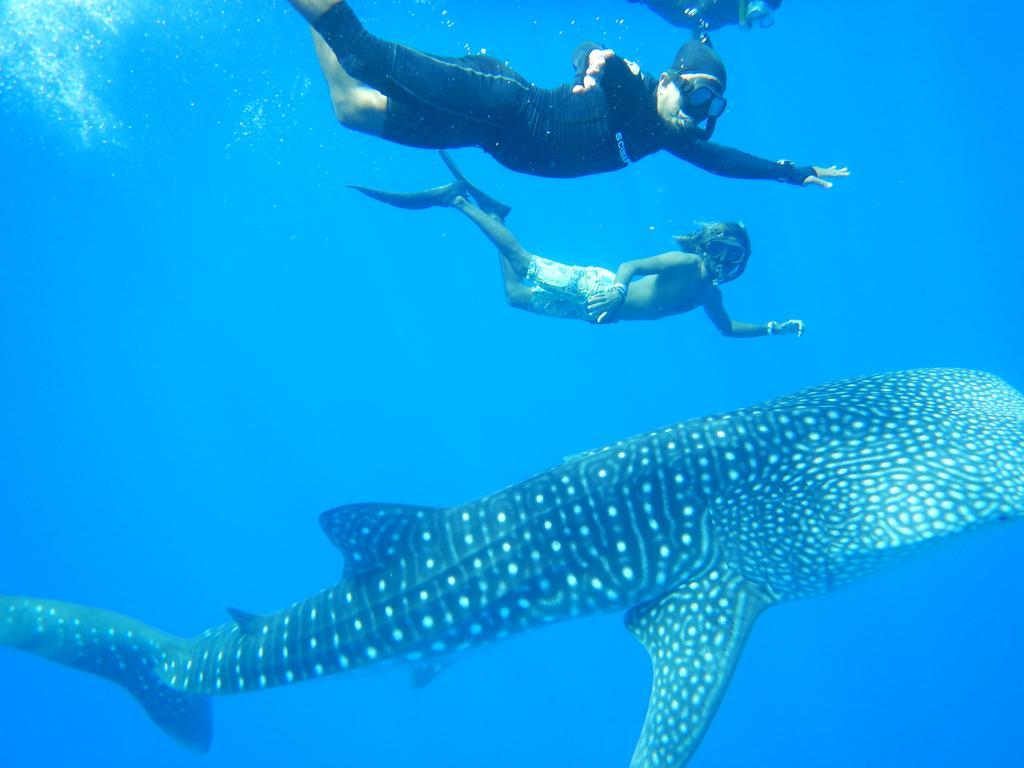 Shamar Guesthouse & Dive Maamigili Island ภายนอก รูปภาพ