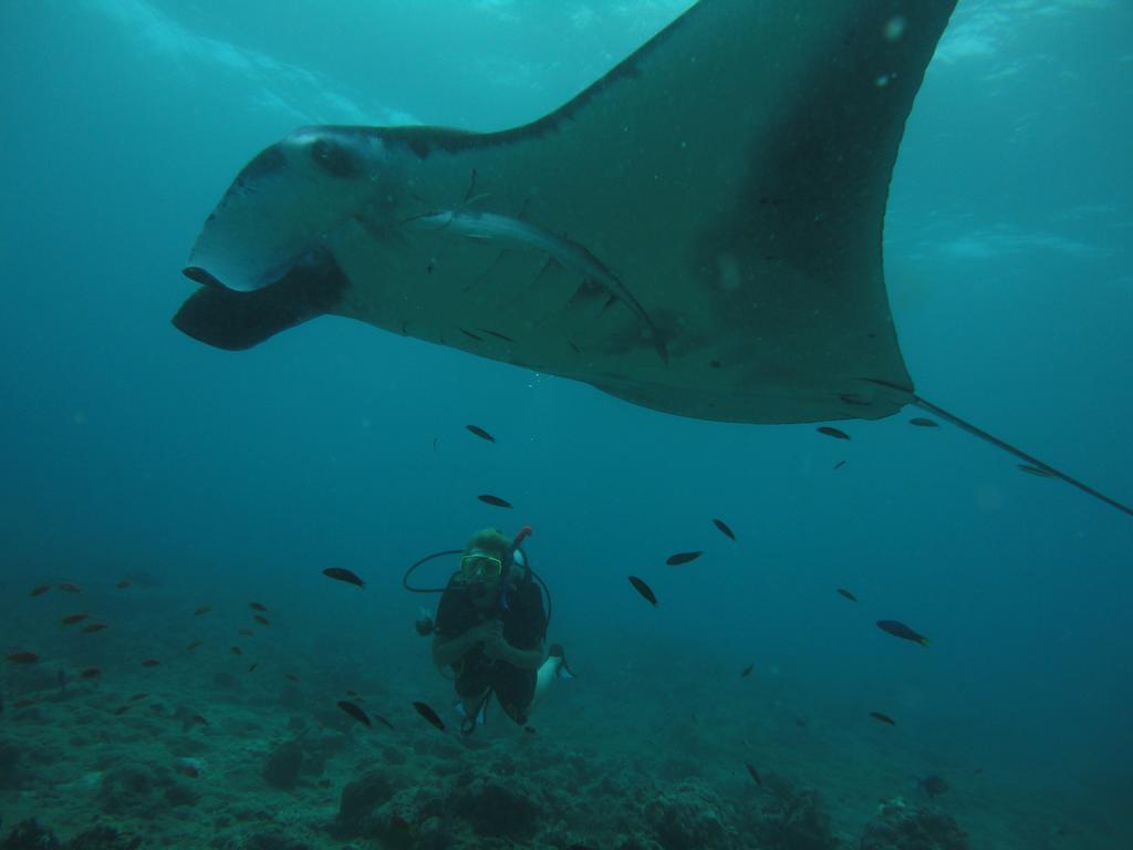Shamar Guesthouse & Dive Maamigili Island ภายนอก รูปภาพ